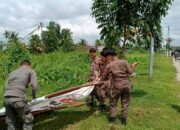 Satpol PP Pekanbaru Tertibkan Spanduk Cakada yang Langgar Aturan