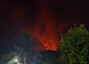 BSP Cepat Tanggap Atasi Kebakaran, Sekda Siak Beri Apresiasi