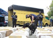 Bea Cukai Riau Amankan 17,64 Juta Batang Rokok Ilegal Periode Juli Sampai Akhir Agustus 2024