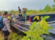 Diduga Jaringan Penyeludupan Benih Lobster, Petugas Bea Cukai Amankan Kapal Boat Misterius di Perairan Meranti