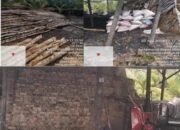 Mangrove Dibabat dan Dirusak Untuk Arang di Rupat, Warga dan Pengamat Lingkungan Minta Presiden RI Bertindak