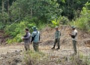 Satreskrim Polres Inhu Tetapkan 5 Tersangka Kasus Perambahan Hutan, Termasuk Kades dan Sekdes di Amankan
