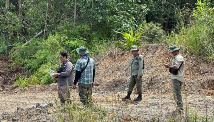 Satreskrim Polres Inhu Tetapkan 5 Tersangka Kasus Perambahan Hutan, Termasuk Kades dan Sekdes di Amankan