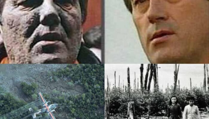 Apa Sebenarnya Agent Orange, dan Bagaimana Dia Bekerja?