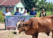 Program Bertajuk Berbagi Keberkahan, PT Musim Mas Salurkan 19 Ekor Sapi dan 6 Ekor Kambing Jelang Idul Adha 1446 H