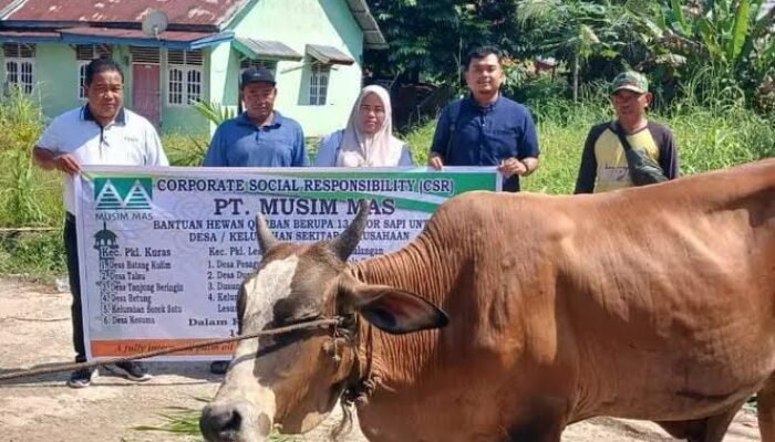 Program Bertajuk Berbagi Keberkahan, PT Musim Mas Salurkan 19 Ekor Sapi dan 6 Ekor Kambing Jelang Idul Adha 1446 H