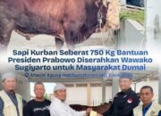 Wawako Dumai Serahkan Sapi Kurban Dari Presiden Prabowo Seberat 750 Kg untuk Warga