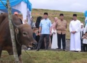 Pemko Pekanbaru Sembelih 14 Hewan Kurban, 5 Ekor Disalurkan ke Lembaga Eksternal dan Masjid