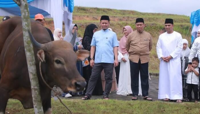 Pemko Pekanbaru Sembelih 14 Hewan Kurban, 5 Ekor Disalurkan ke Lembaga Eksternal dan Masjid