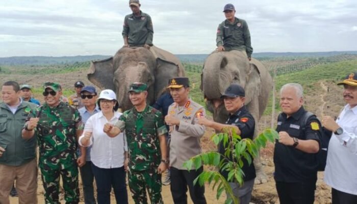 Satgas PKH Menegaskan Segala Bentuk Aktivitas di Hutan Kawasan Melanggar Hukum