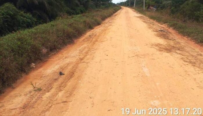 700 Ha Kebun Sawit Sucipto Andra dan Acin Masuk Taman Wisata Hutan Konservasi Dumai
