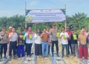 PT Musim Mas Pelalawan dan Polsek Pangkalan Kuras Dukung Penuh Program Ketahanan Pangan, Tanam Jagung 2,5 Hektare di Pelalawan