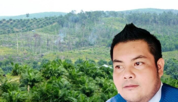 GMPI Menyoroti Ketimpangan Penegakan Hukum Terkait Penertiban Penguasaan Lahan di Kawasan TNTN
