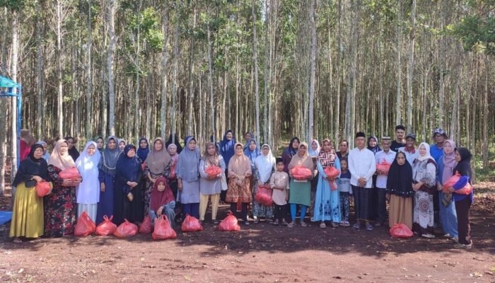 Bukan Sekedar Seremoni, Komitmen Kop-P-IPMPL Salurkan Menyisihkan 20 Persen dari Hasil Penjualan Bibit Pohon Geronggang