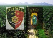 LSM Amatir Laporkan Dugaan Perkebunan Ilegal dan Perambahan Hutan ke Polda Riau