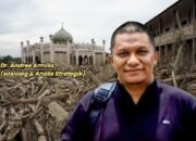 Bencana Banjir dan Longsor, Kayu Gelondongan Negara yang Gelagapan