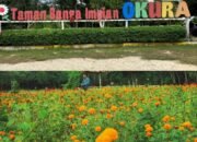 Komitmen PT PLTU Nusantara Power UP Tenayan dengan Pihak Pengelola, Destinasi Wisata Taman Bunga Impian Okura Pekanbaru Kini Jadi Wisata Primadona di Pekanbaru