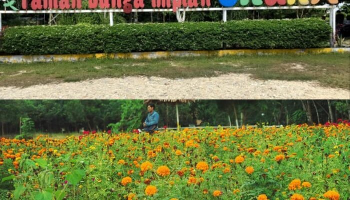 Komitmen PT PLTU Nusantara Power UP Tenayan dengan Pihak Pengelola, Destinasi Wisata Taman Bunga Impian Okura Pekanbaru Kini Jadi Wisata Primadona di Pekanbaru