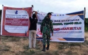 Dalih Ultimum Remedium Cukong TNTN Dinilai Sesat Fikir, Pengamat: Ini Extraordinary Environmental Crime!