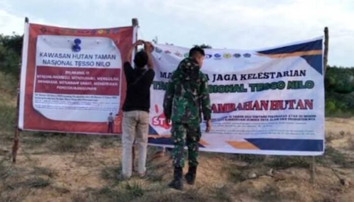 Dalih Ultimum Remedium Cukong TNTN Dinilai Sesat Fikir, Pengamat: Ini Extraordinary Environmental Crime!
