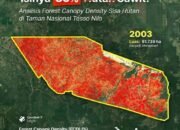 Cukong TNTN Tersangka Tapi Bebas Berkeliaran, Pengamat: Jangan Jadikan Pengembalian Lahan sebagai “Tiket Bebas Penjara”