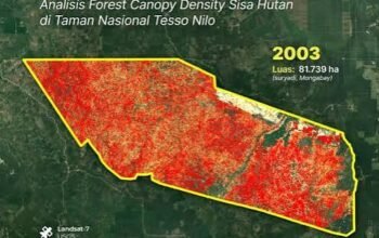Cukong TNTN Tersangka Tapi Bebas Berkeliaran, Pengamat: Jangan Jadikan Pengembalian Lahan sebagai “Tiket Bebas Penjara”