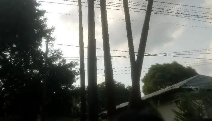 Tragedi Maut di Duri: Keluarga Korban Endus Sindikat Pencurian Tiang Wi-Fi, Diduga Libatkan “Orang Dalam” Telkom