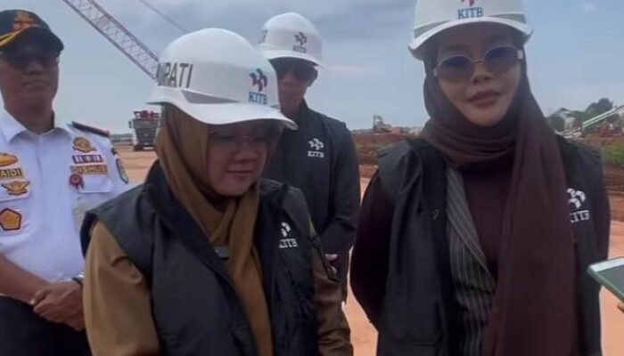 Bupati Siak Afni Zulkifli Ajak DPR RI Iyeth Bustami Tinjau Kawasan Industri Tanjung Buton