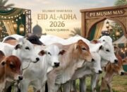 Konsisten Setiap Tahun! PT Musim Mas Kembali Salurkan 22 Ekor Sapi Qurban Di Desa Sekitar Perusahaan