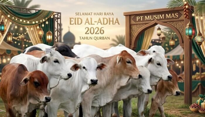 Konsisten Setiap Tahun! PT Musim Mas Kembali Salurkan 22 Ekor Sapi Qurban Di Desa Sekitar Perusahaan