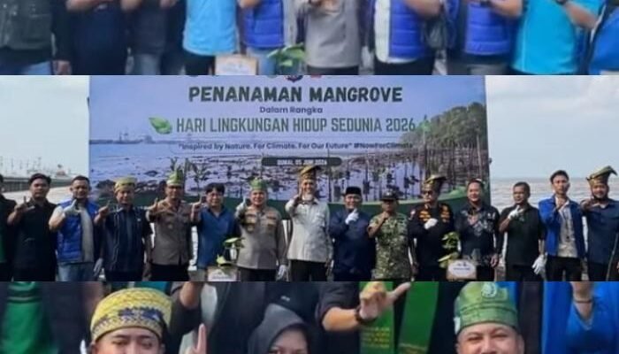 Peringati Hari Lingkungan Hidup Sedunia, PEHR Dumai, Polda Riau, Forkopimda dan DPD KNPI Dumai Lakukan Penanaman Mangrove