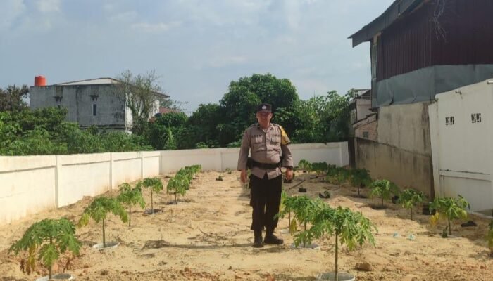 Bhabinkamtibmas Kelurahan Labuhbaru Barat Dukung Program Ketahanan Pangan Nasional