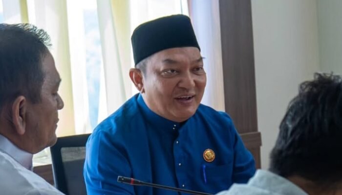 Cuaca Ekstrem, Plt Kepala Pelaksana BPBD Pekanbaru Himbau Warga Waspadai Pohon Tumbang dan Banjir